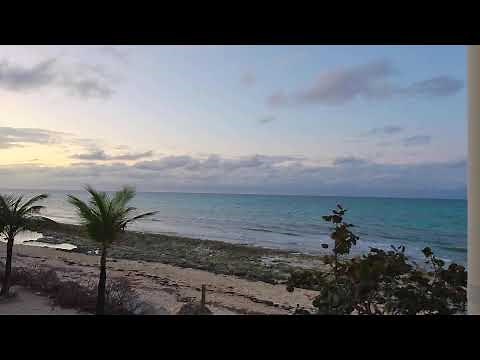 Love Beach Live Cam-Nassau #Bahamas Live