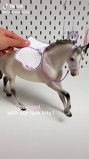 DIY Tack Tutorial: Create Your Own Unique Tack Kits!