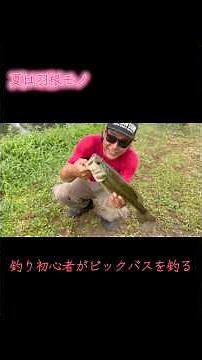 #バス釣り #羽根モノ #アングラー #ルアー釣り #初心者 #野池