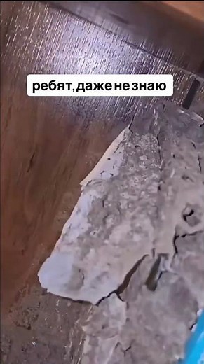 Сталкер Когда выйдет новый обзор на книгу #сталкер