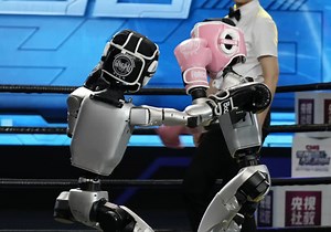 China hosts world's first mechanical mixed martial arts tournament