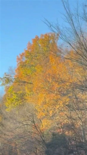 Fall/Winter/Spring…. All in One Week