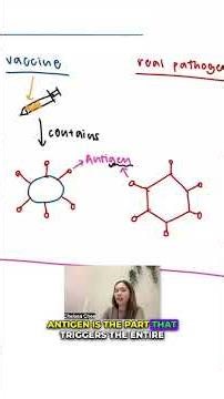 Vaccines Finally Explained!