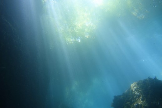 Amazing Grace「アメージング・グレース」の歌詞（英語）・和訳（日本語訳） | 株式会社e-LIFEWORK