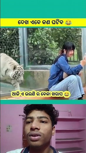 #filter #tedrush #reelschallenge sambalpuri status video #dance #sambalpurisong #odiasong#music#song