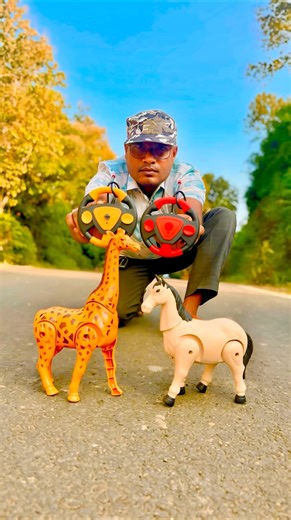 Rc Remote Control 1 Ta Giraffe 🦒 &1 Ta Horse 🐎 Unboxing