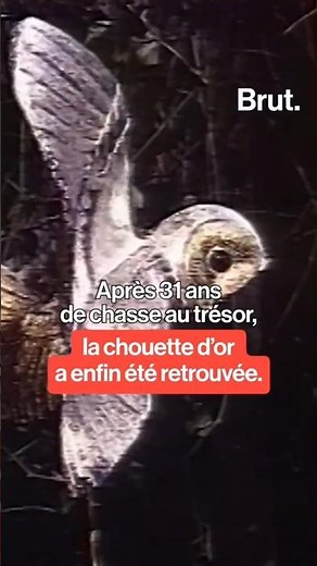 Après 31 ans de chasse au trésor, la chouette d'or a enfin été retrouvée