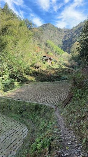 如果你来不了农村，又怀念小时候走在田间小路上的感觉，没关系，我从不同角度不同时间拍给你看，初冬正午时分的乡下田间风景你喜欢吗