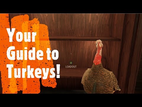 Your Guide to Turkeys! Quick and Simple Hunting Info - Hunting Simulator 2