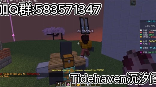 我的世界java版服务器