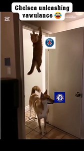 Chelsea vs PSG | Lazooh