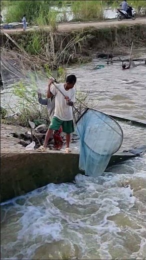 Real Life Fishing, Man Dip Net Fishing In The River [part 402] #fishing #fishinglife