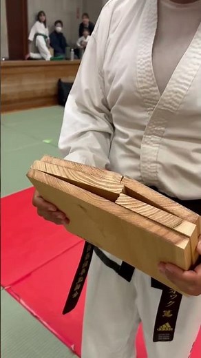 【テコンドー】メメタァ【ITF】