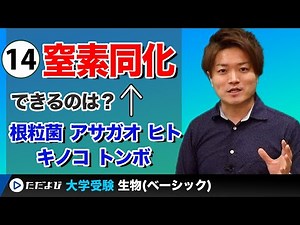 [Biology] Nitrogen Assimilation [Lecture 14]