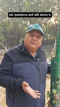 The Paradox of Deforestation: Talking About Forests vs. Protecting Them