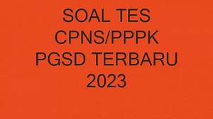 Contoh Soal Tes Seleksi P3K 2023 Jurusan PGSD dan Lengkap Kunci Jawaban - Tribunpontianak.co.id