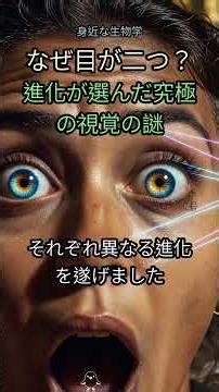 20. 👁️たった二つの目。進化が選んだ究極の『視覚システム』の謎【衝撃の真実】 #二つ目 #進化 #視覚 #人類 #動物の目 #深度知覚 #視野 #ドキュメンタリー #科学