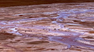 Tibetan antelopes, often referred to as the "elves" of the Qinghai-Xizang Plateau, have long faced the threat of poaching for their prized underfur. However, dedicated conservation efforts have helped their population rebound. #EcoFuture #EcoCivilization #HarmonyKeepers #NationalDay #PRC75Years #ChinaTravel For more: https://news.cgtn.com/news/2024-09-05/Tibetan-antelope-spirit-animal-of-the-plateau-1wEfMO1WkTu/p.html | China Plus South Africa