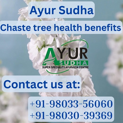 Chaste tree is used to help with problems related to hormone imbalances. It may also help with signs of premenstrual syndrome like bloating, breast pain, or low mood. #chaste #chastetree #spermhealth #ovulation For more info ayursudha.in@gmail.com YTube Ayur Sudha https://bit.ly/3sqVQVD Contact us at: 91-98033-56060 91-98030-39369 | AYUR-SUDHA's :: Ayurveda Skin Centre