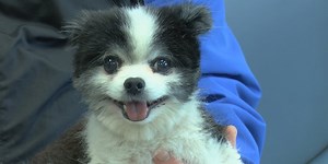 WF vets remain open during winter storm