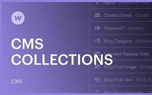Collections - Webflow CMS教程