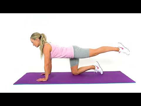 Bird Dog Leg Extension Exercise