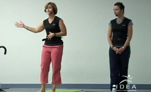 Alignment, Adjustments, and Anatomy