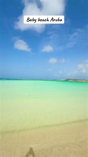 Baby beach in Aruba! Interested in learning more about this great beach in Aruba? Check out my