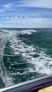 Dolphin trick of the week sent in to us by one of our customers on the 10:00am cruise Saturday morning. Thank you Rachel Wilson for sharing this video with us! If you have any epic dolphin tricks taken while you were on a cruise with us, send them in and we will pick the best one every week to be posted! #panamacitybeach #florida #dolphin | Sea Screamer
