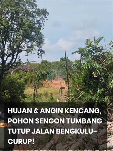 Hujan deras disertai angin kencang membuat akses jalan lintas Bengkulu–Curup di Desa Lubuk Sini, Kecamatan Taba Penanjung, Kabupaten Bengkulu Tengah, sempat lumpuh pada Sabtu dini hari, 4 April 2026. Sebuah pohon sengon setinggi puluhan meter dengan diameter sekitar satu meter roboh menutup seluruh badan jalan. Beruntung, kejadian ini tidak menimbulkan korban jiwa maupun kerugian material. Mendapat laporan, tim BPBD Bengkulu Tengah bersama aparat kepolisian dan warga setempat langsung turun ke l