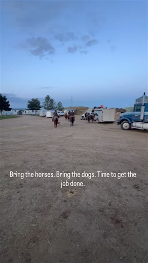 It was a great day to help the neighbor bring in his herd! #stackrockranch #ranchlife #cowdogs #ranchriding | Stack Rock Ranch