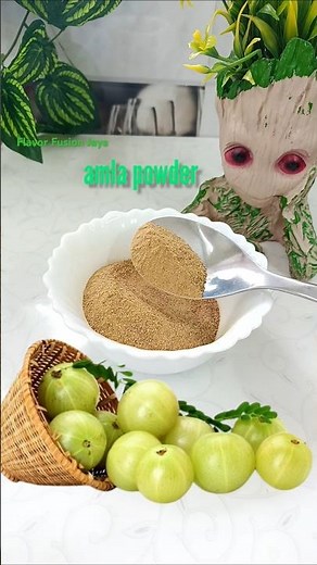 Top Benefits of Amla Powder for Health & Beauty!#shorts #amla