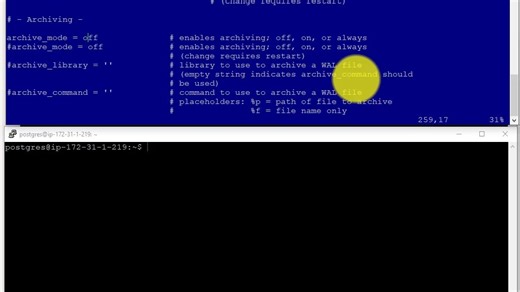PostgreSQL 核心技术第四十五讲：恢复pg_basebackup所做的数据库备份（2-2）