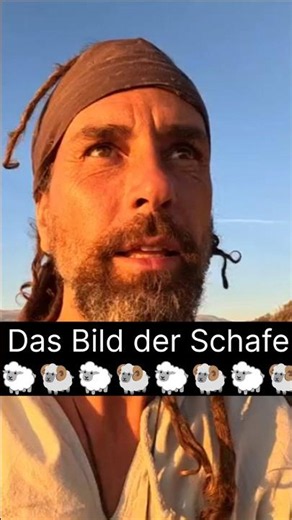 What is "The Alchemist" trying to tell us?! 🐑