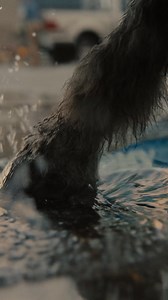 74K views | We believe in making things the right way. No one should ever do a half-ass job. Not even if you were a literal half-ass | RONA EN | Facebook