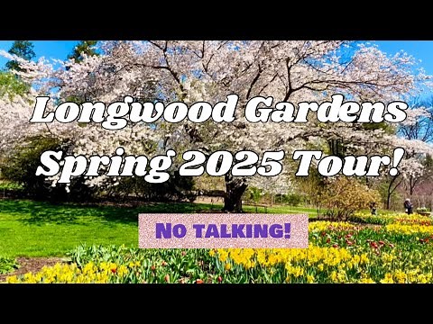 Longwood Gardens Spring Tour & Walkthrough! 2025! NO TALKING! America’s Most Beautiful Garden!
