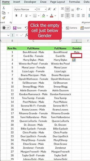 How to Instantly Split Names and Genders in Excel Using Flash Fill