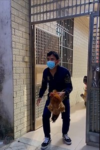 61K views · 740 reactions | Funny Two Brothers, Li Fei Catch A Chicken Peng Cha | Mitterboy | Facebook