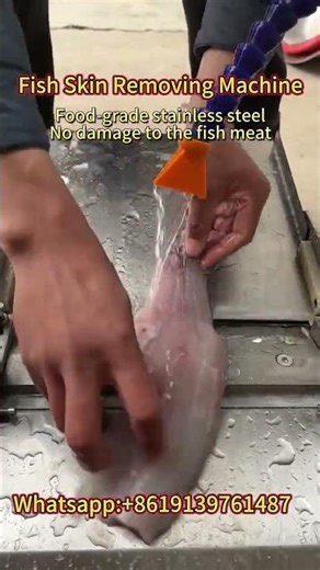 Commercial Fish Skinner Machine – High Efficiency Fish Skin Removal