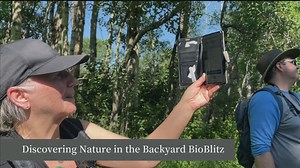 Discovering Nature with the Backyard BioBlitz