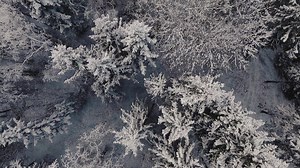 36K views · 35 reactions | A new website with new possibilities for...