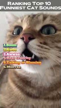 Ranking Top 10 Funniest Cat Sounds #FunnyCats #CatSounds #ViralCats #CatLovers #FunnyPets #CatMemes