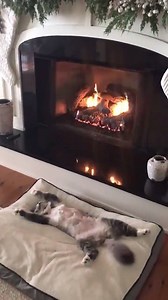 675K views · 15K reactions | Boxing day plans  | Tyla | Facebook