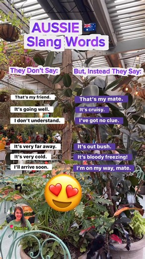 Aussie Slang 🇦🇺 | Rosalie Labrador Munro