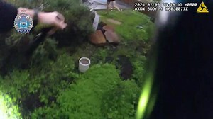 A 38-year-old man’s dreams of making the Olympic gymnastics team have fallen flat during an arrest attempt in Langford this week. About 5:40pm, on Tuesday 9 July 2024, officers entered the Langford home with an arrest warrant; sparking the 38-year-old man’s ambitious escape attempt. It will be alleged; the man climbed out of a bedroom window, into the backyard where he used a trampoline to try and propel himself over the neighbouring fence. He was arrested a short distance away by pursuing polic