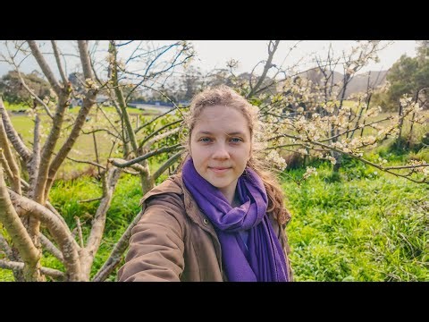 I Found The PERFECT Piece of Land to Start My Off-grid Farm!