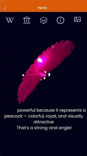Pavo The Peacock Constellation in the Night Sky #Shorts