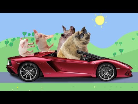 Real life Peppa Pig Parody Episodes 11-20