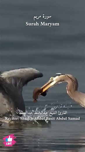 O sister of Aaron, your father was not a wicked man, nor was your mother unchaste. | Surah Maryam...