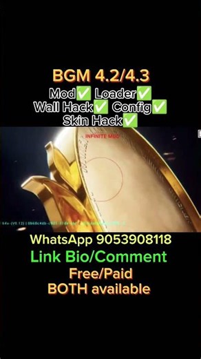 New ESP, Mod, Loader, Wall,Skin, Config available 4.2